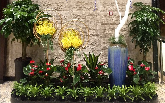 植物租赁