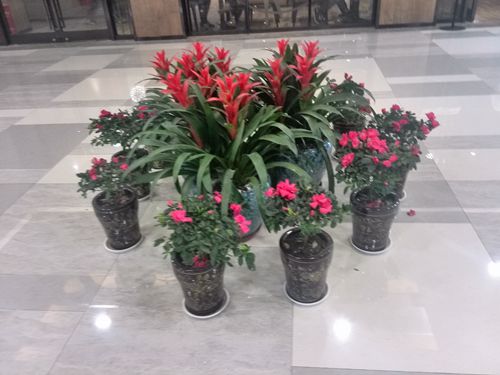 20131015094759205920.jpg